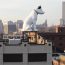 Nipper Statue overlooking Albany with skyline in the background