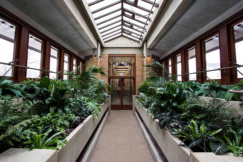 An atrium at the Dwight D. Martin House Complex in Buffalo NY