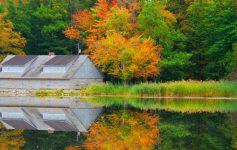 pond in reinstein woods, surrounded by fall foliage