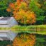 pond in reinstein woods, surrounded by fall foliage