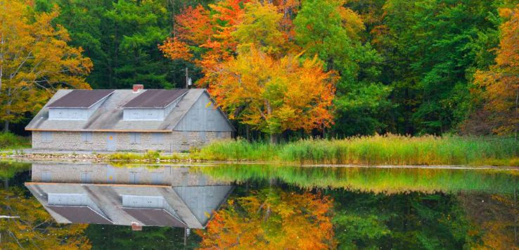 pond in reinstein woods, surrounded by fall foliage