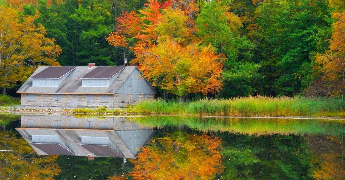 pond in reinstein woods, surrounded by fall foliage