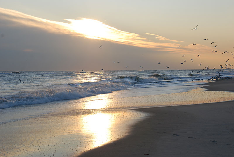 Jones Beach on Long Island NY